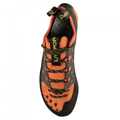 tarantula climbing shoe
