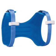 Petzl BODY Children's Chest Harness Blue